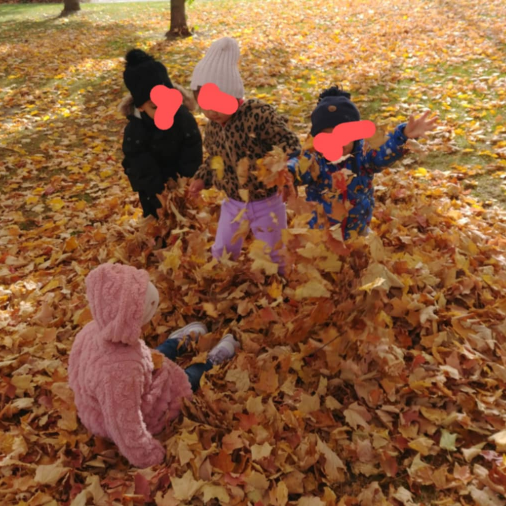 Best Daycare in Toronto